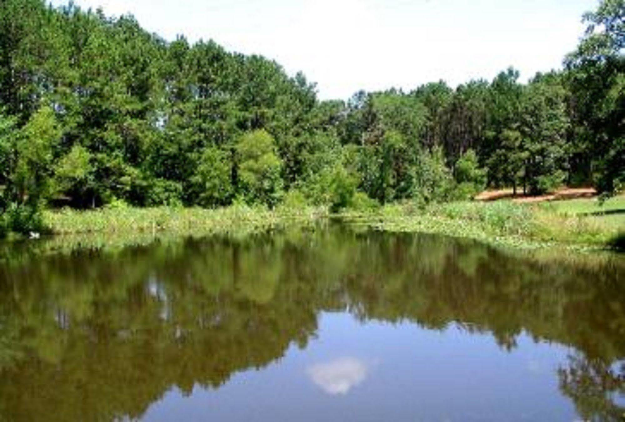 Pine Creek Country Inn Nacogdoches Faciliteter billede