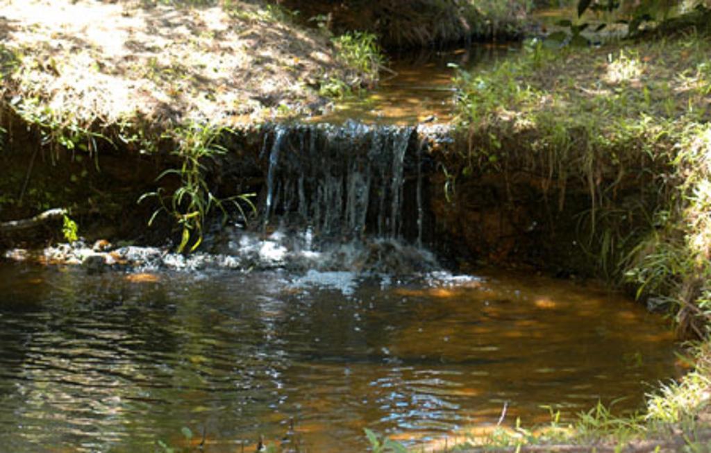 Pine Creek Country Inn Nacogdoches Eksteriør billede
